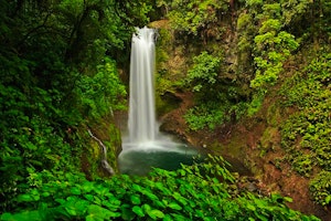 Essence of Costa Rica image 3