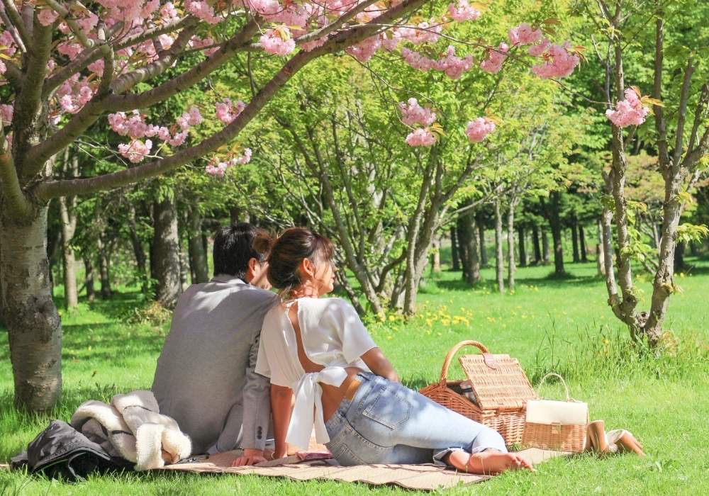 Cherry Blossom Picnic