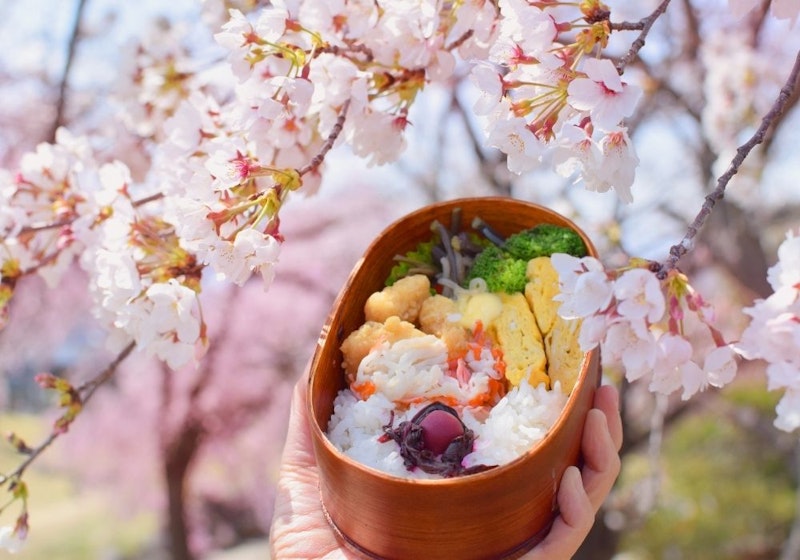 Cherry Blossom Bento Box