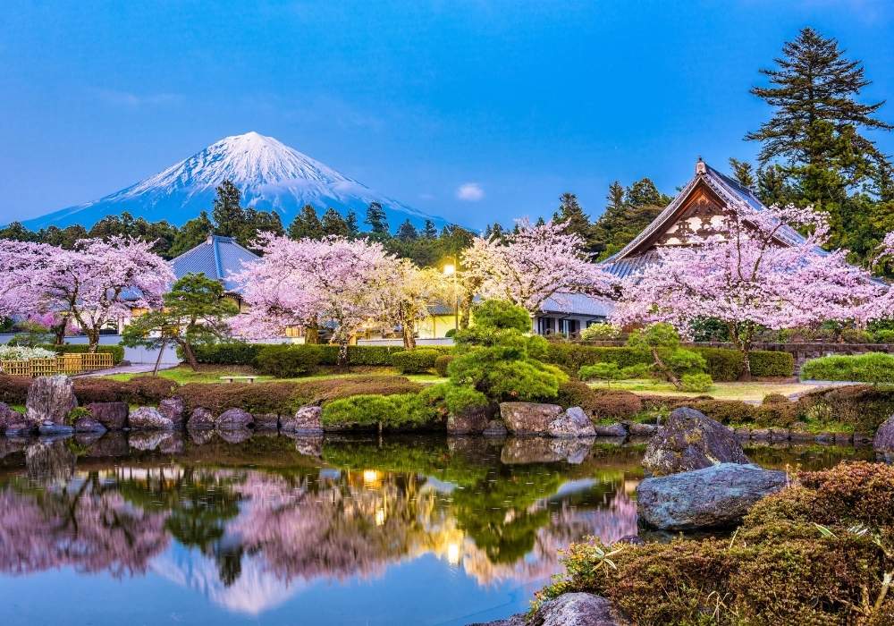 Mount Fuji, Cherry Blossom Season